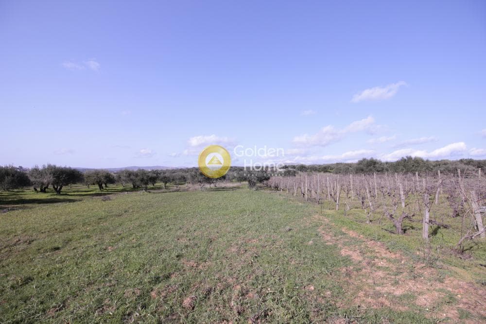 Building Plot in Roussochoria, Arkalochori — Photo 13 of 38
