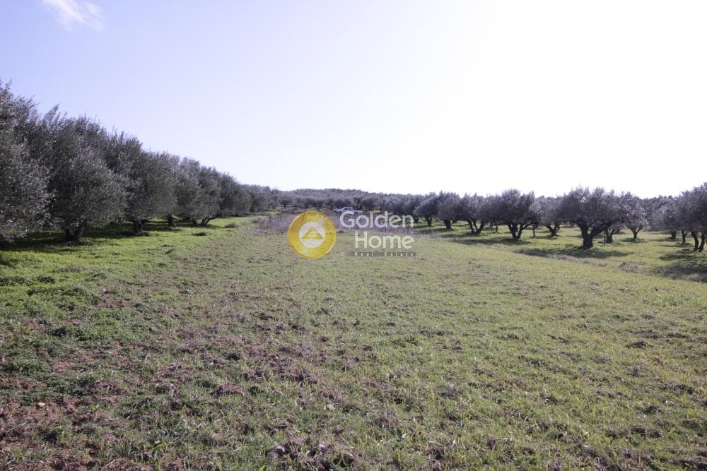 Building Plot in Roussochoria, Arkalochori — Photo 14 of 38