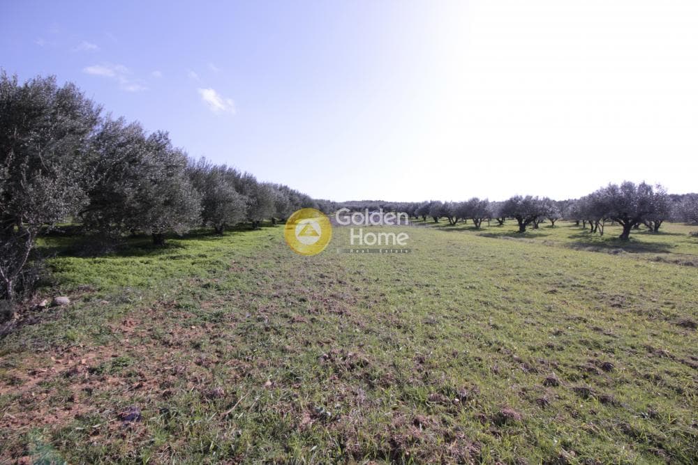 Building Plot in Roussochoria, Arkalochori — Photo 15 of 38