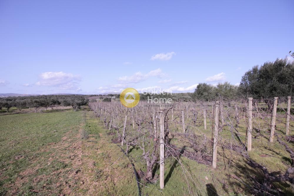 Building Plot in Roussochoria, Arkalochori — Photo 16 of 38