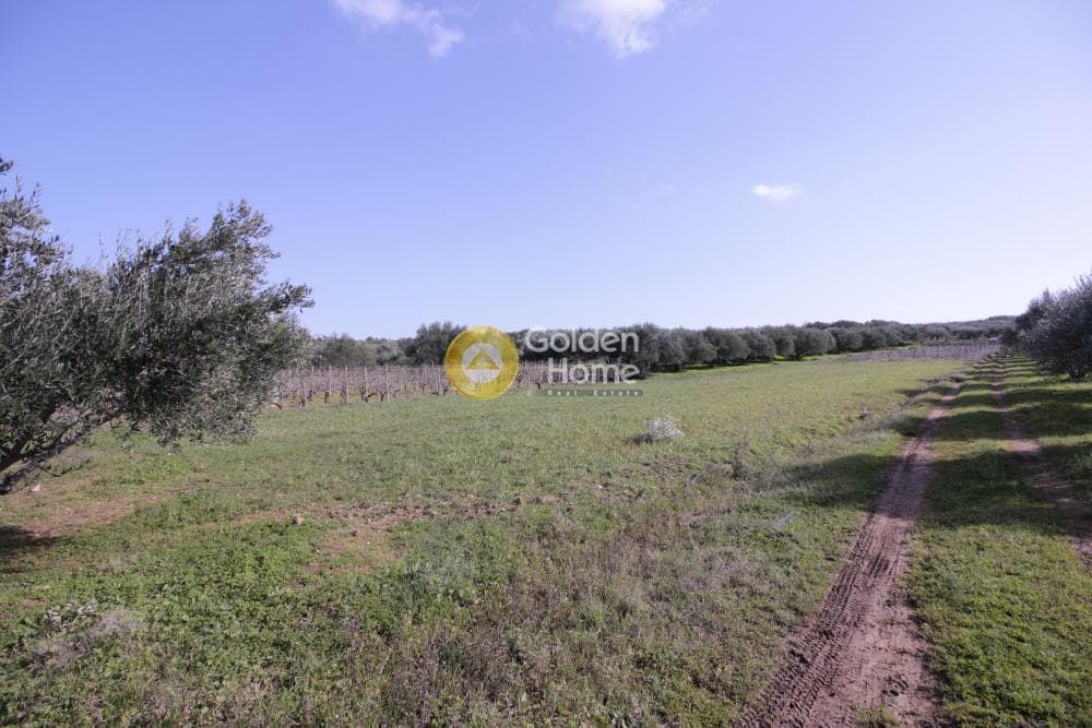 Building Plot in Roussochoria, Arkalochori — Photo 17 of 38
