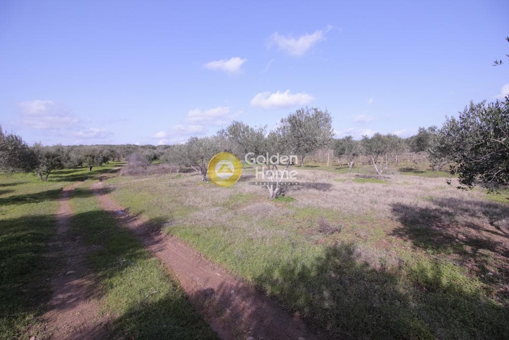 Building Plot in Roussochoria, Arkalochori — Photo 19 of 38