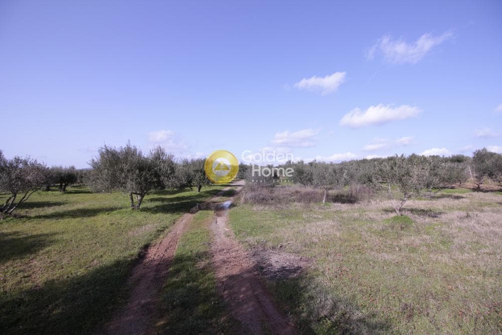 Building Plot in Roussochoria, Arkalochori — Photo 22 of 38