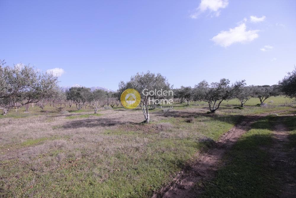 Building Plot in Roussochoria, Arkalochori — Photo 23 of 38