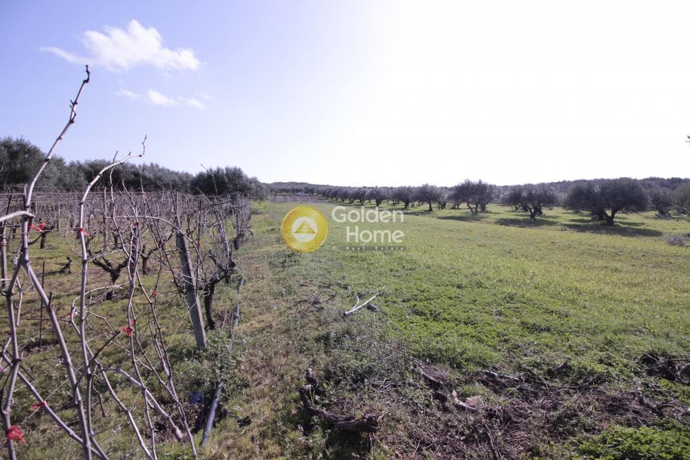 Building Plot in Roussochoria, Arkalochori — Photo 28 of 38