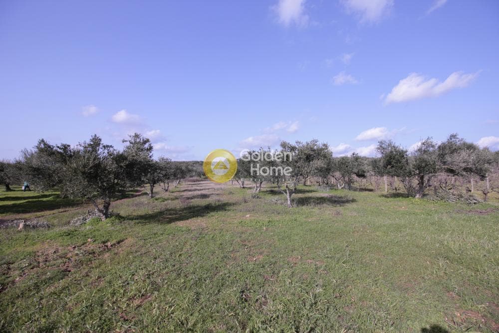 Building Plot in Roussochoria, Arkalochori — Photo 30 of 38