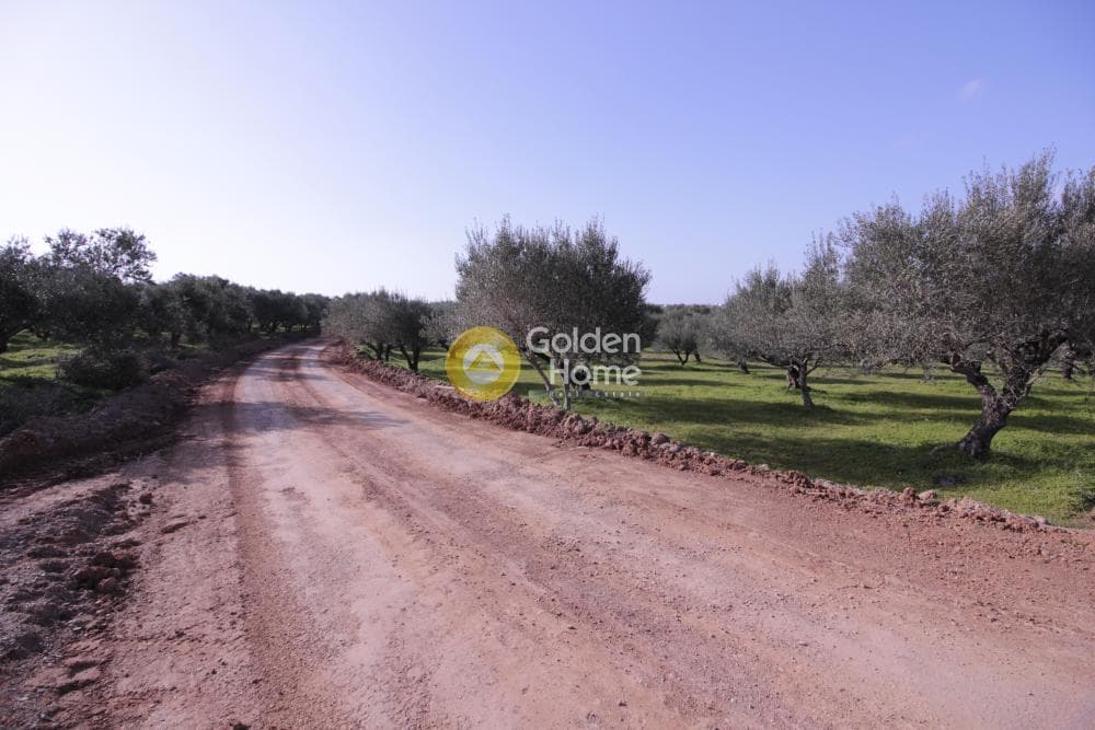 Building Plot in Roussochoria, Arkalochori — Photo 31 of 38