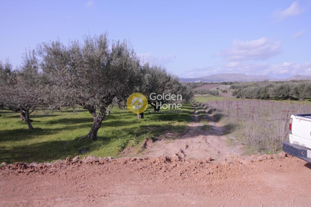 Building Plot in Roussochoria, Arkalochori — Photo 32 of 38