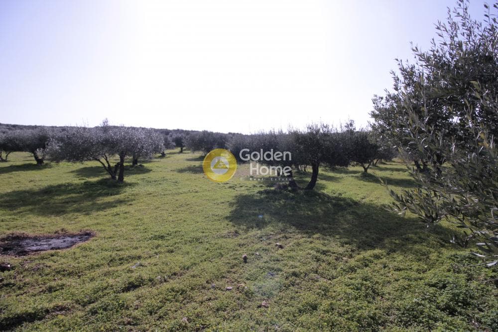 Building Plot in Roussochoria, Arkalochori — Photo 37 of 38