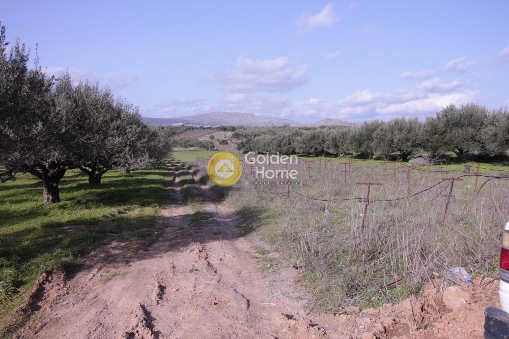 Building Plot in Roussochoria, Arkalochori — Photo 38 of 38
