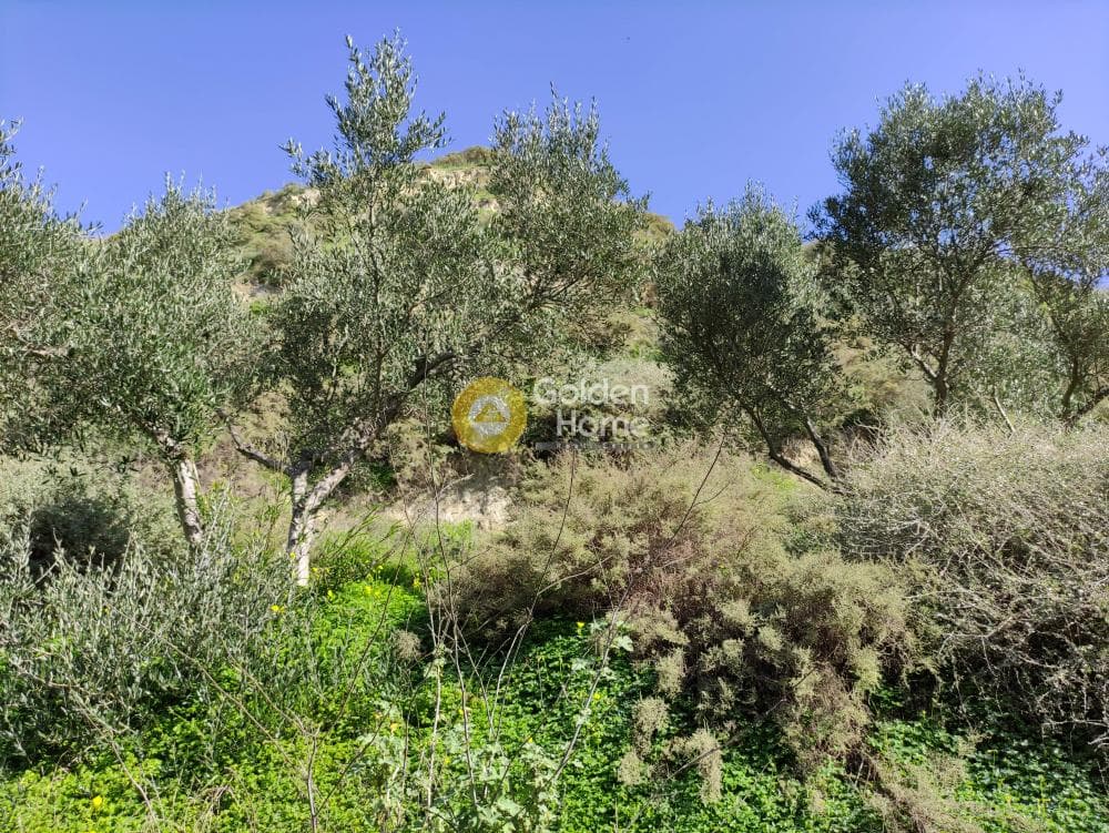 Οικόπεδο στην Λοφούπολη, Τέμενος — Φωτογραφία 8 από 9