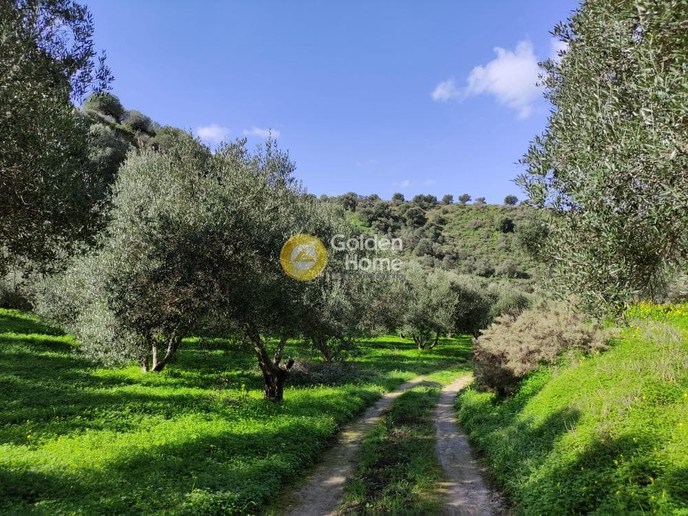 Οικόπεδο στην Λοφούπολη, Τέμενος — Φωτογραφία 1 από 9