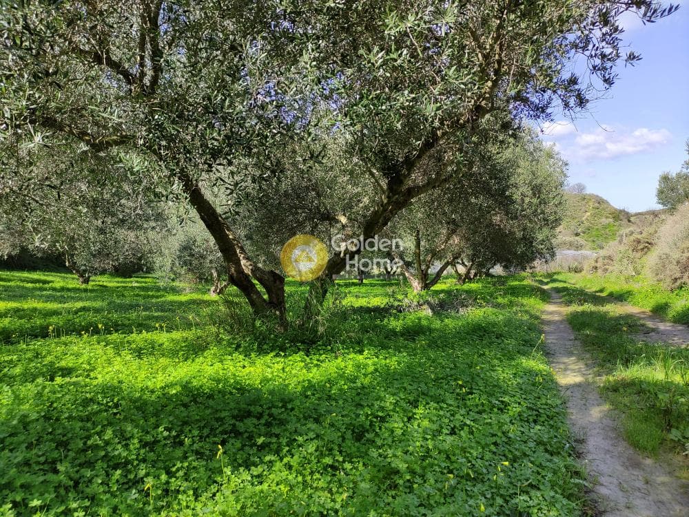 Οικόπεδο στην Λοφούπολη, Τέμενος — Φωτογραφία 5 από 9