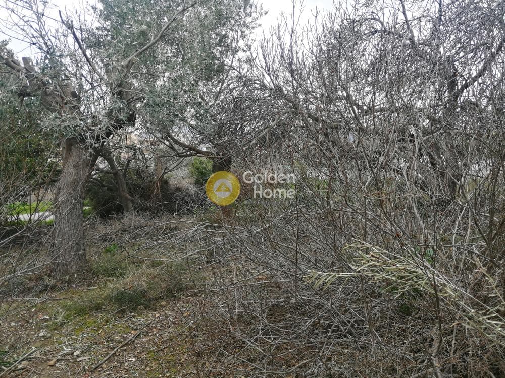 Building Plot in Karouzi, Pallini — Photo 6 of 6