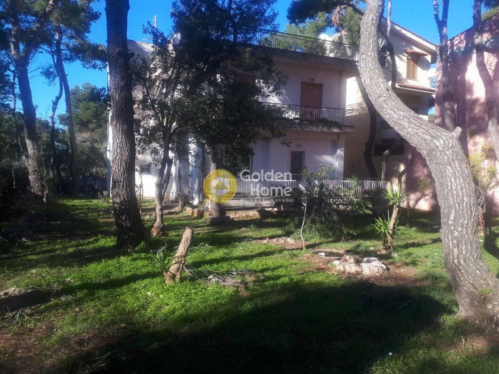 Μονοκατοικία στην Δροσιά, Δροσιά — Φωτογραφία 2 από 14