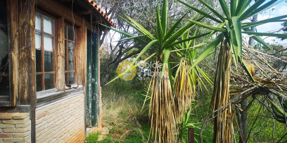 Αγροτεμάχιο στην Καλύβια, Καλύβια Θορικού — Φωτογραφία 2 από 5
