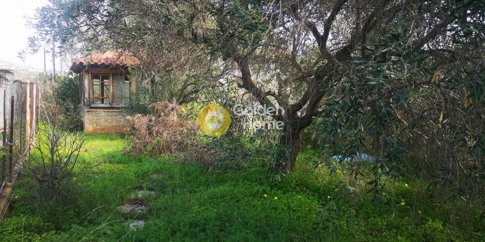 Αγροτεμάχιο στην Καλύβια, Καλύβια Θορικού — Φωτογραφία 3 από 5