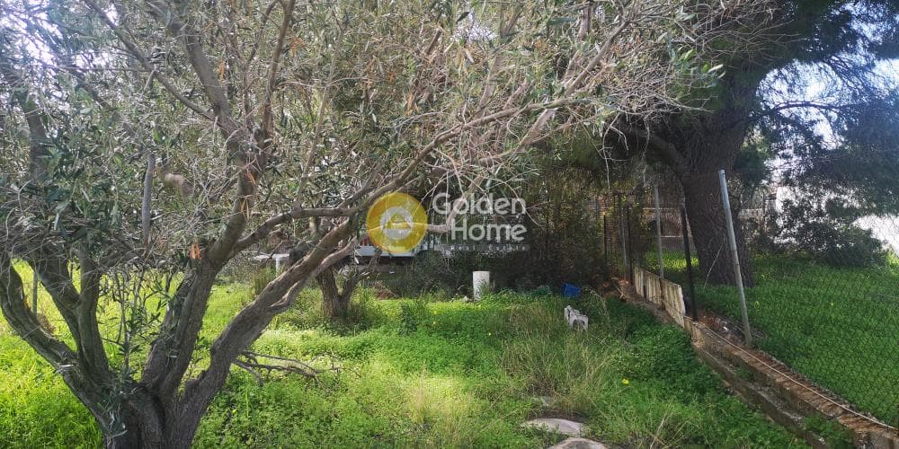 Αγροτεμάχιο στην Καλύβια, Καλύβια Θορικού — Φωτογραφία 4 από 5