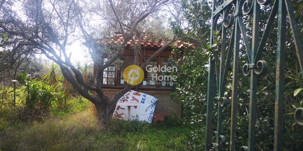 Αγροτεμάχιο στην Καλύβια, Καλύβια Θορικού — Φωτογραφία 5 από 5
