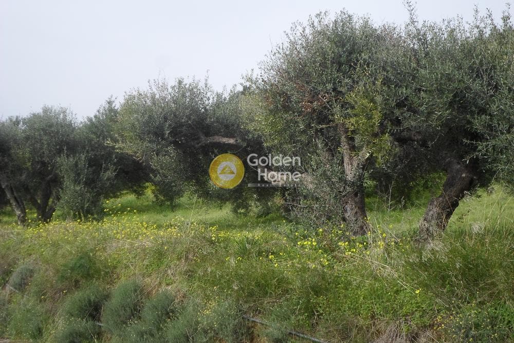 Building Plot in Skalani, Episkopi — Photo 2 of 9