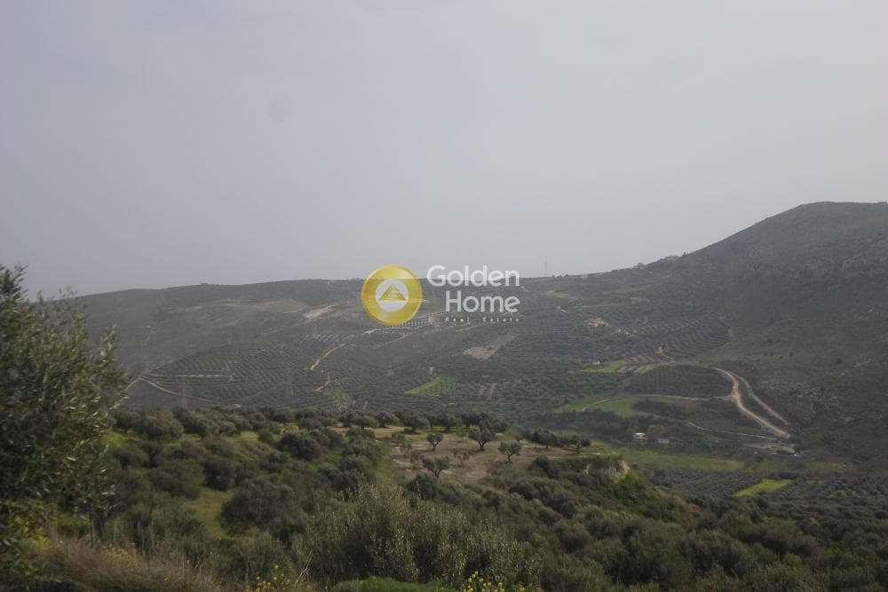 Building Plot in Skalani, Episkopi — Photo 3 of 9