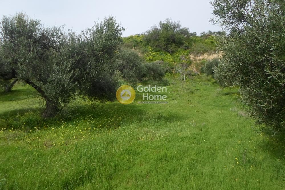 Building Plot in Skalani, Episkopi — Photo 4 of 9