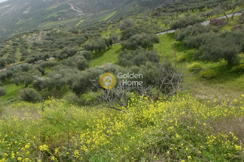 Building Plot in Skalani, Episkopi — Photo 6 of 9