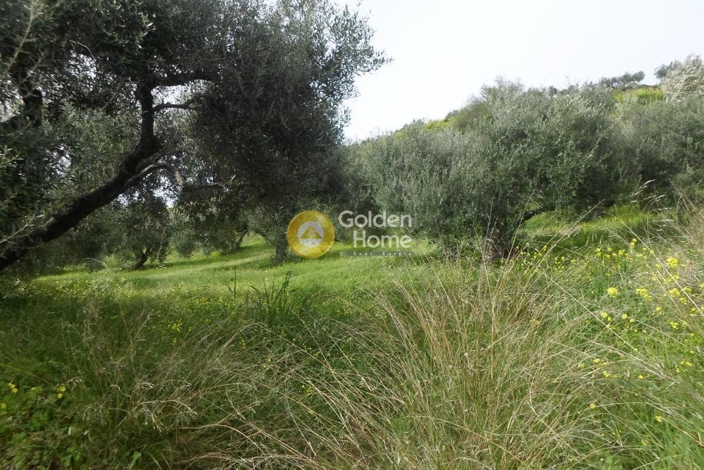 Building Plot in Skalani, Episkopi — Photo 5 of 9