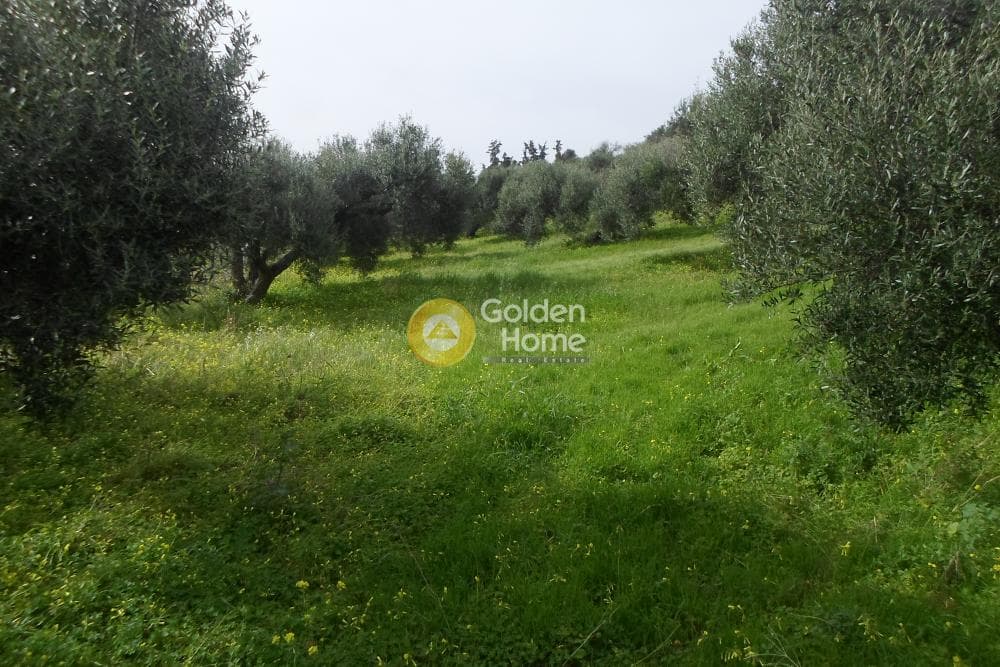 Building Plot in Skalani, Episkopi — Photo 8 of 9