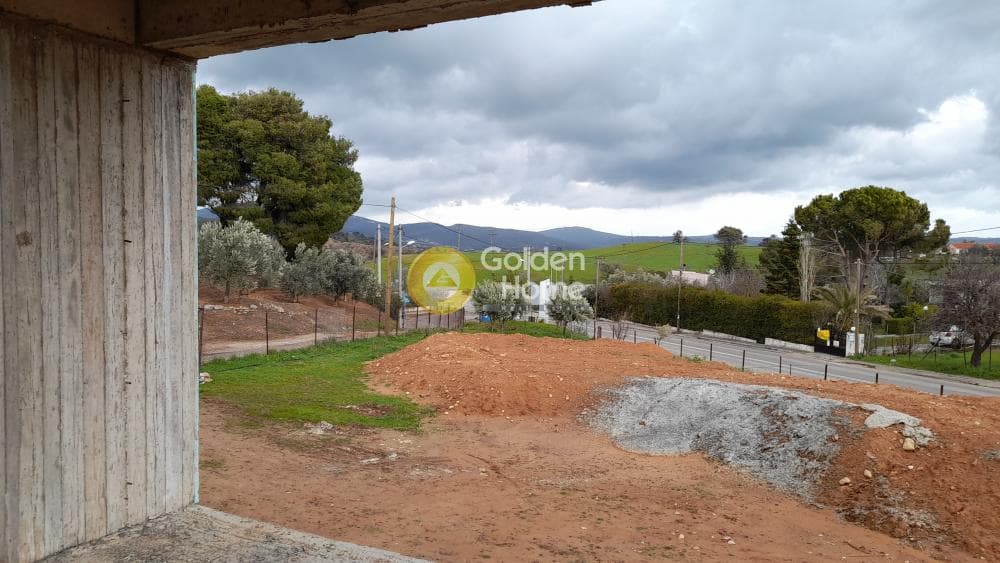 Μονοκατοικία στην Δάσος Κουρεμένου, Άγιος Στέφανος — Φωτογραφία 4 από 5