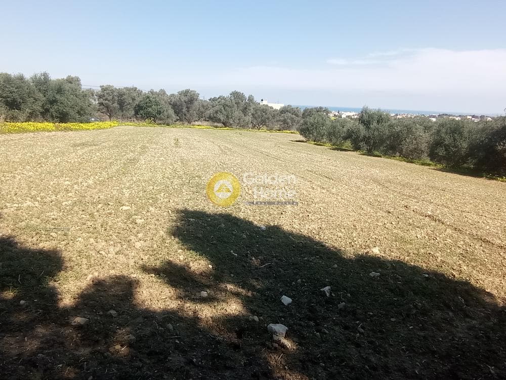 Αγροτεμάχιο στην Κολλυβάς, Γάζι — Φωτογραφία 1 από 6