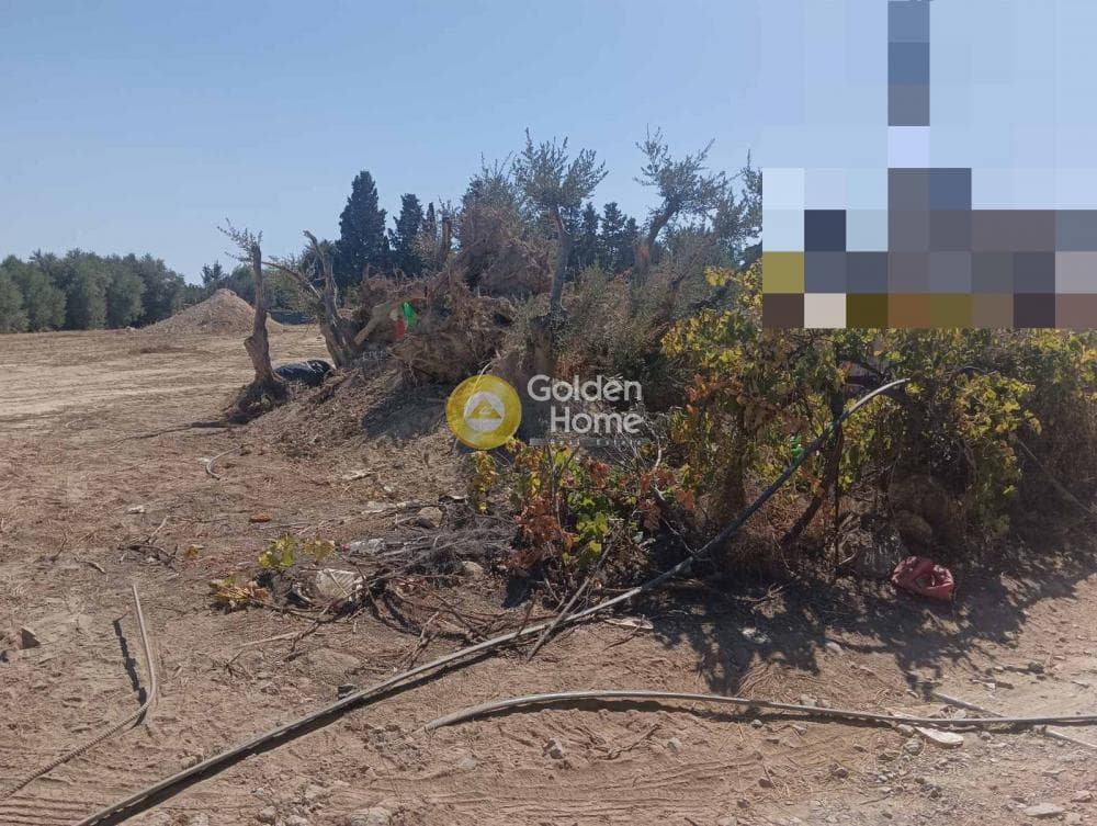 Αγροτεμάχιο στην Κολλυβάς, Γάζι — Φωτογραφία 2 από 6