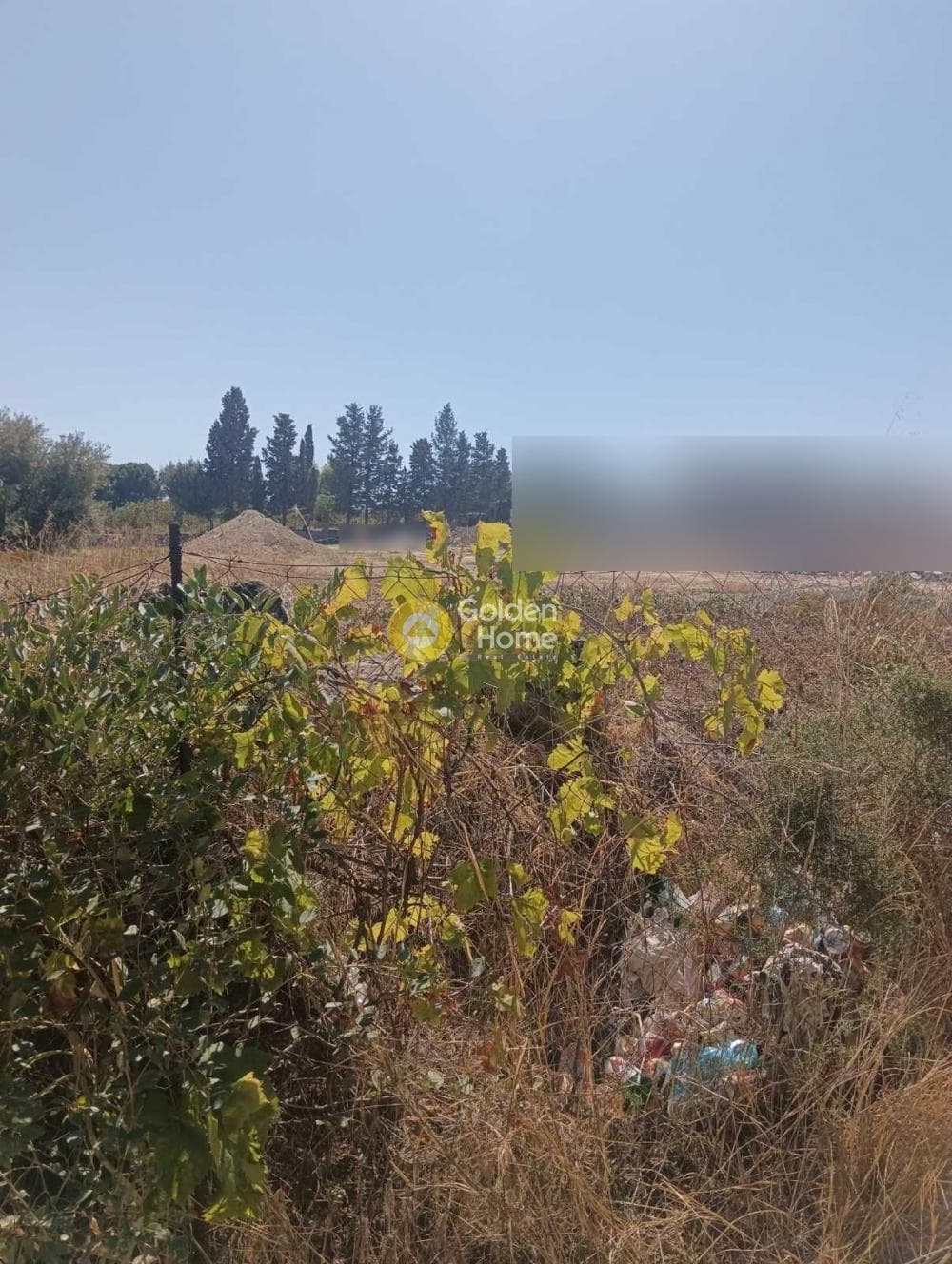 Αγροτεμάχιο στην Κολλυβάς, Γάζι — Φωτογραφία 4 από 6