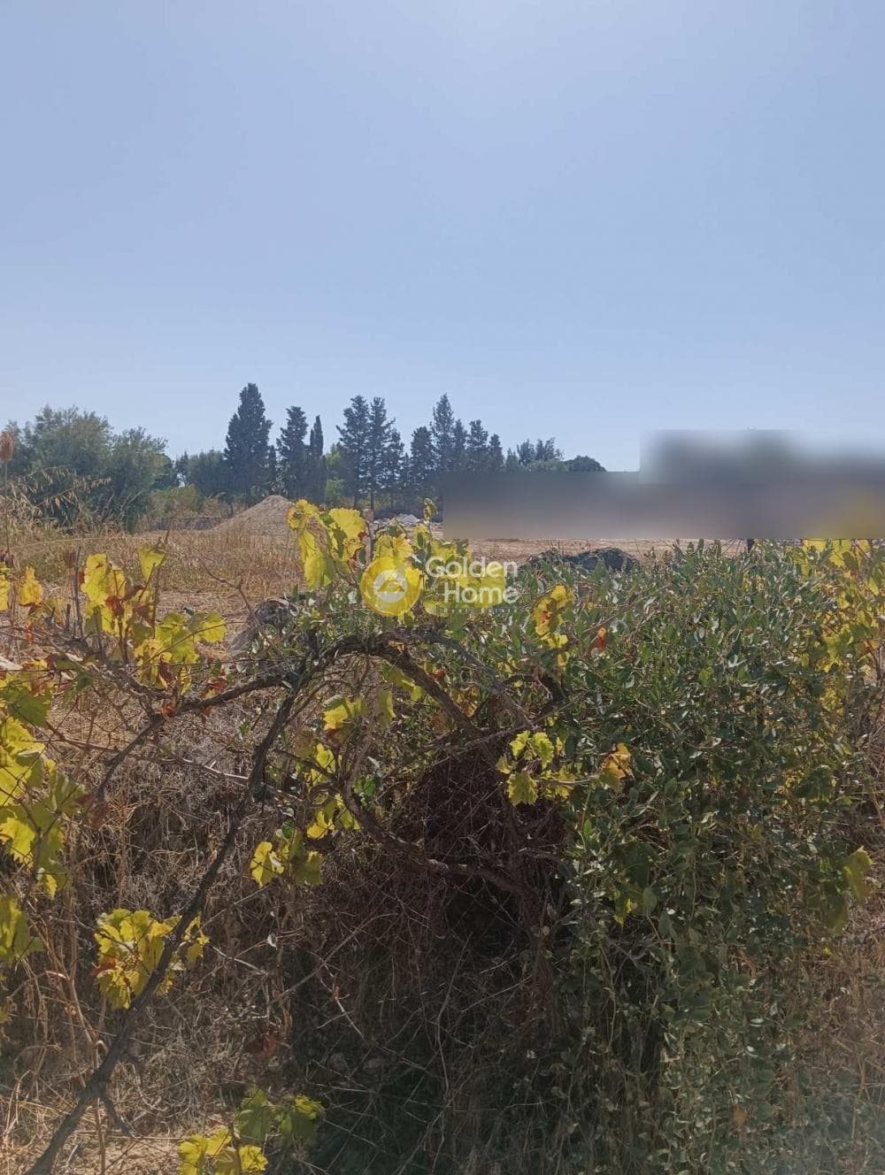 Αγροτεμάχιο στην Κολλυβάς, Γάζι — Φωτογραφία 5 από 6