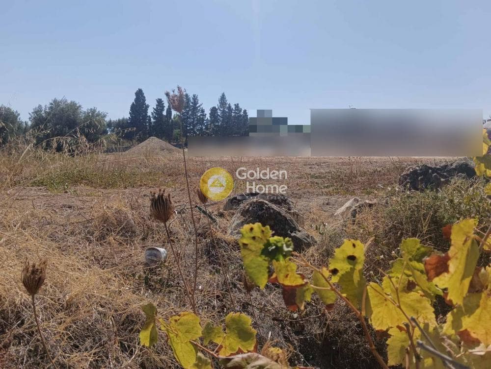 Αγροτεμάχιο στην Κολλυβάς, Γάζι — Φωτογραφία 6 από 6