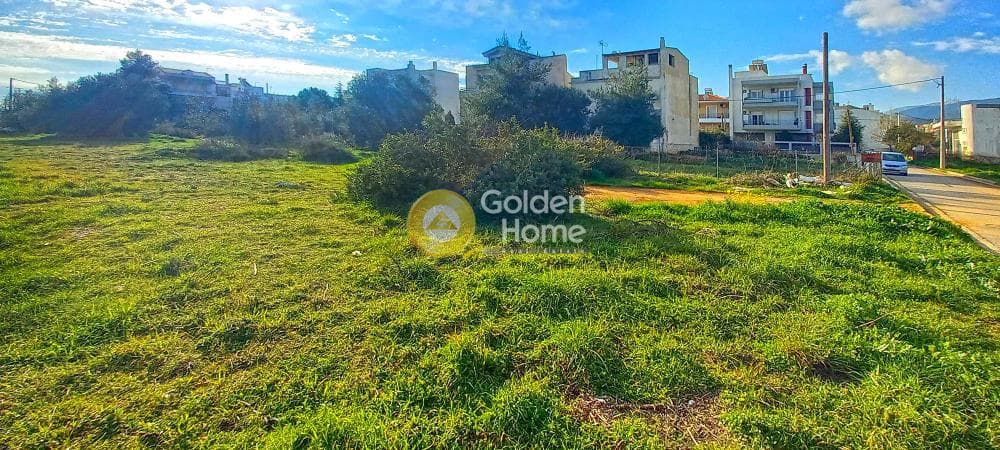Building Plot in Gargittos, Gerakas — Photo 5 of 6