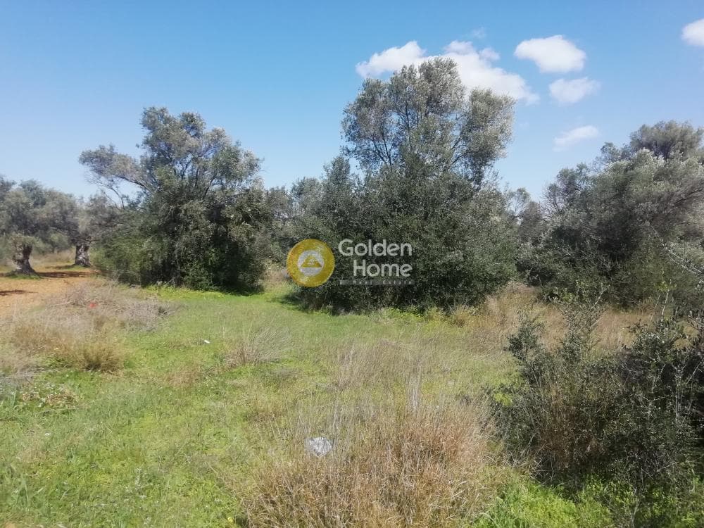 Αγροτεμάχιο στην Αγία Μαρίνα, Παιανία — Φωτογραφία 5 από 5