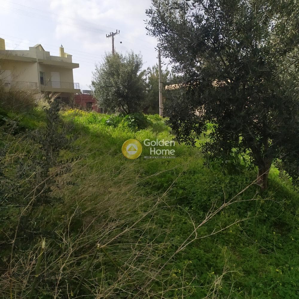 Building Plot in Skalani, Episkopi — Photo 20 of 38