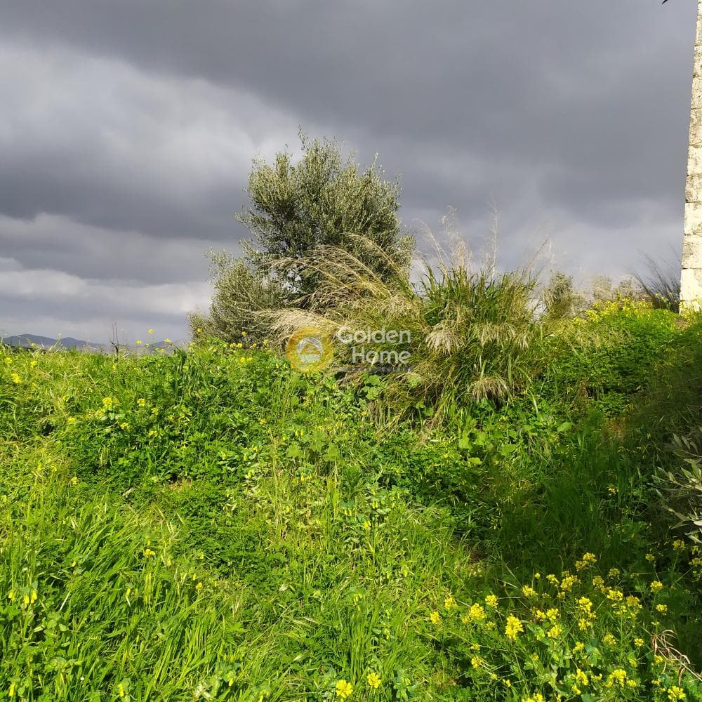 Building Plot in Skalani, Episkopi — Photo 23 of 38