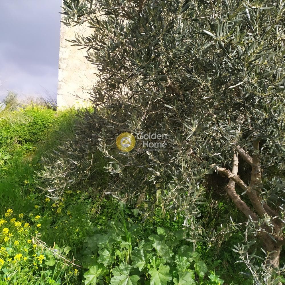 Building Plot in Skalani, Episkopi — Photo 26 of 38