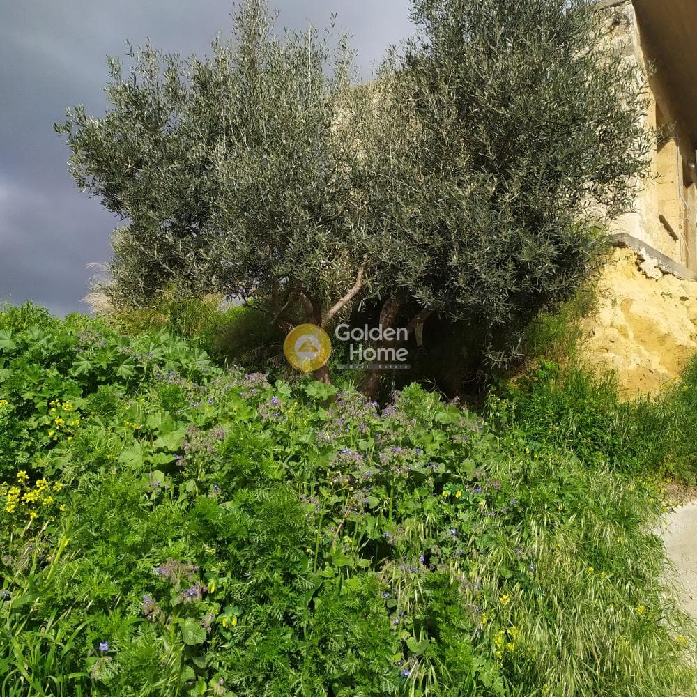 Building Plot in Skalani, Episkopi — Photo 27 of 38