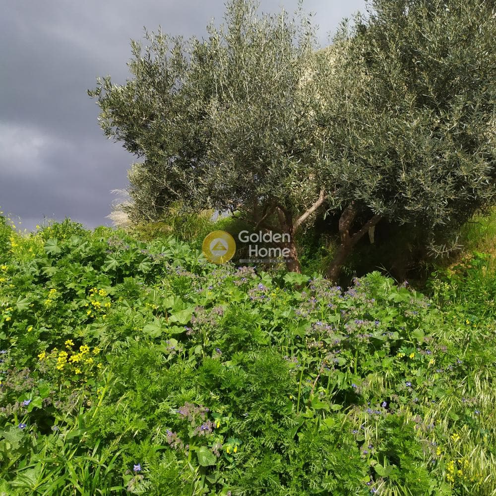 Building Plot in Skalani, Episkopi — Photo 30 of 38