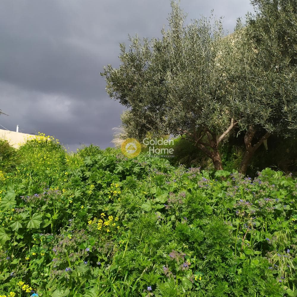 Building Plot in Skalani, Episkopi — Photo 31 of 38