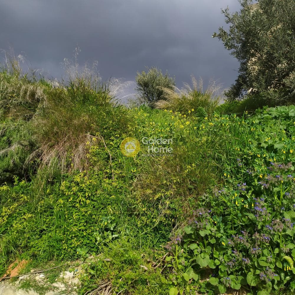 Building Plot in Skalani, Episkopi — Photo 34 of 38