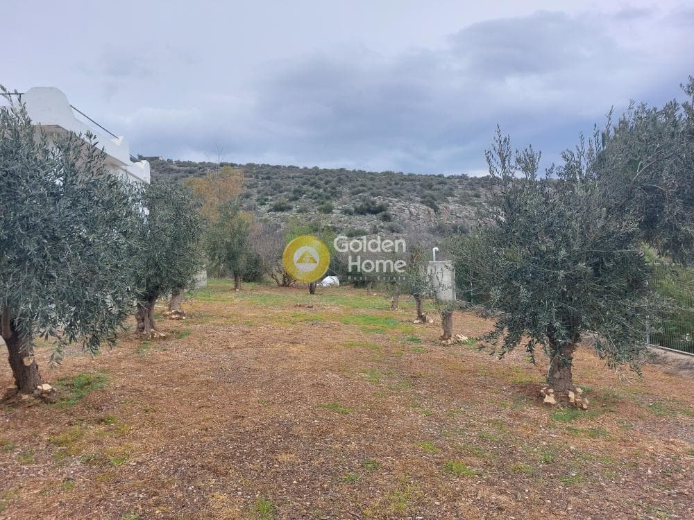 Building Plot in Agia Marina, Koropi — Photo 3 of 6