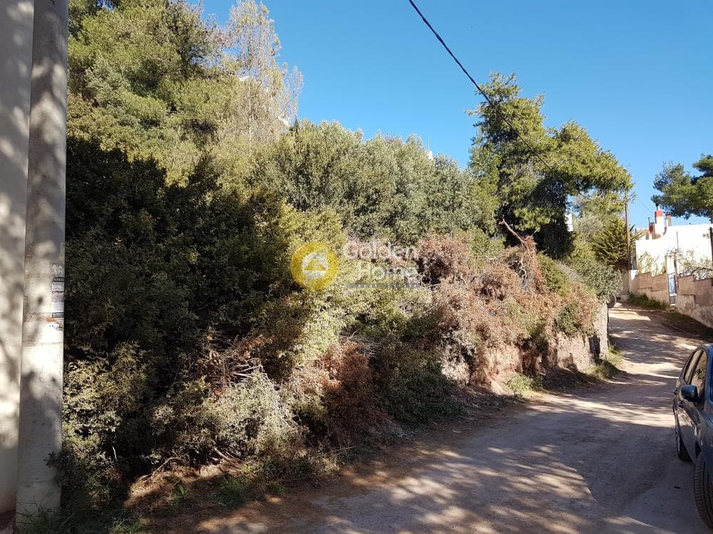 Building Plot in Agia Marina, Koropi — Photo 4 of 9