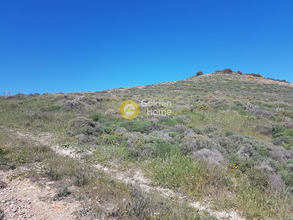 Building Plot in Pefka, Keratea — Photo 12 of 17