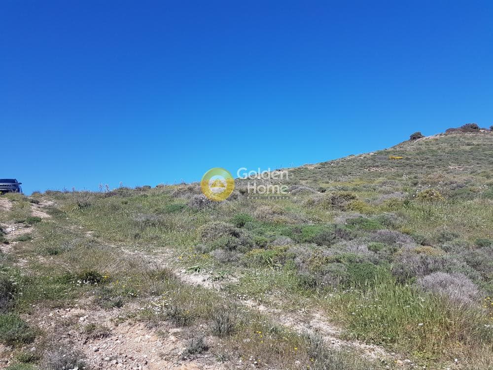 Building Plot in Pefka, Keratea — Photo 14 of 17