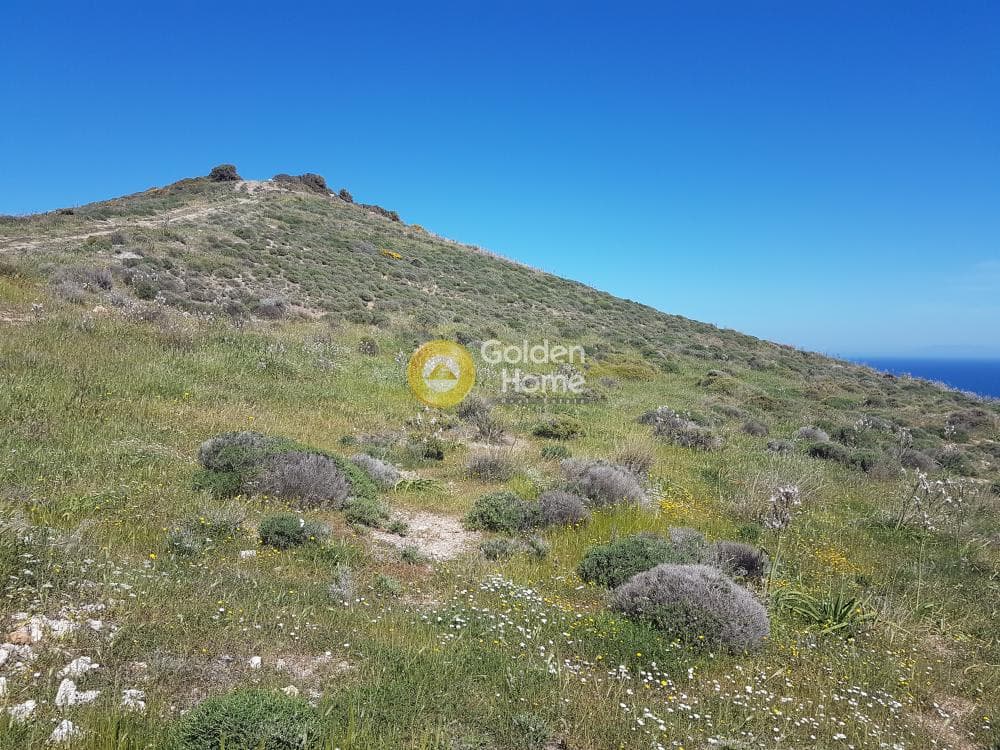 Building Plot in Pefka, Keratea — Photo 7 of 17
