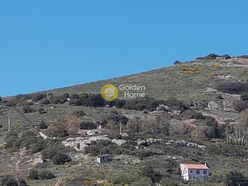 Building Plot in Pefka, Keratea — Photo 17 of 17